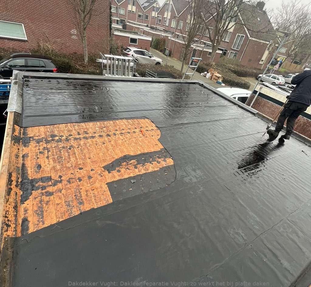 Dakleer Reparatie Vught