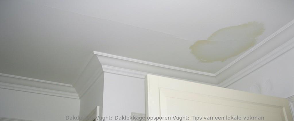 Daklekkage Opsporen Vught 1