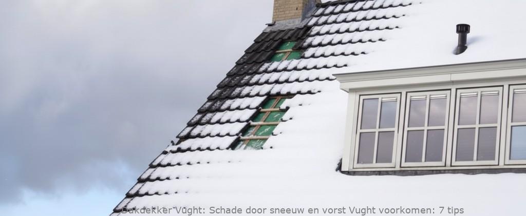 Schade Door Sneeuw En Vorst Vught