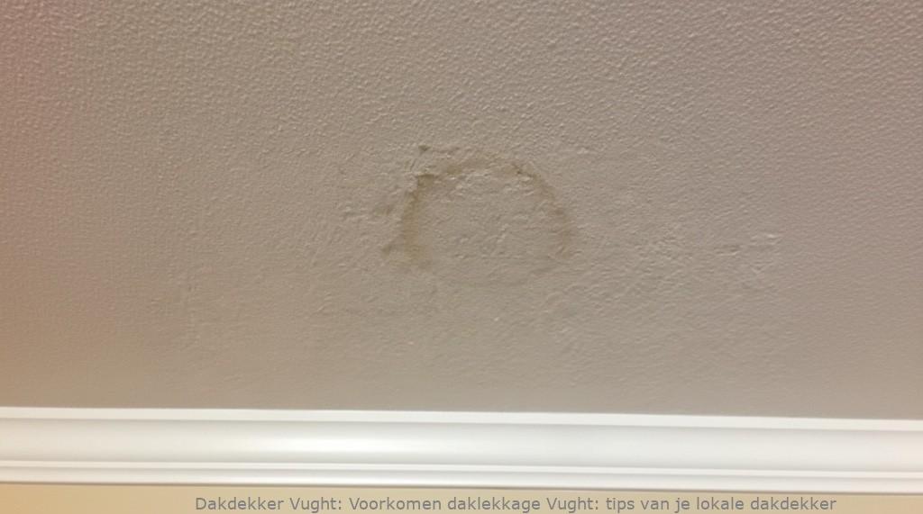 Voorkomen Daklekkage Vught