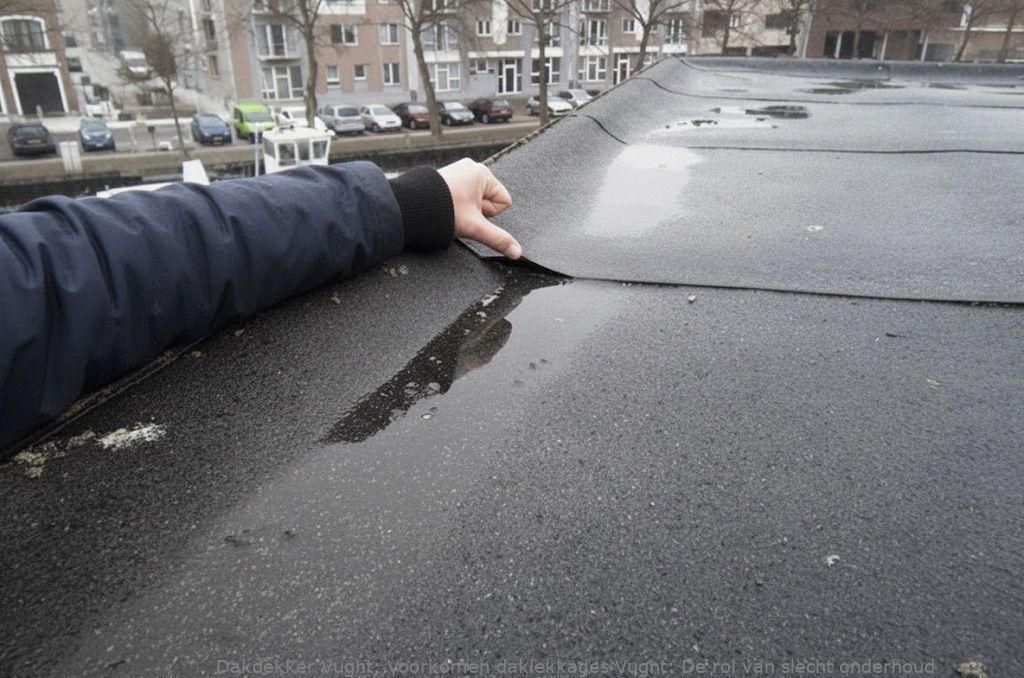 Voorkomen Daklekkages Vught